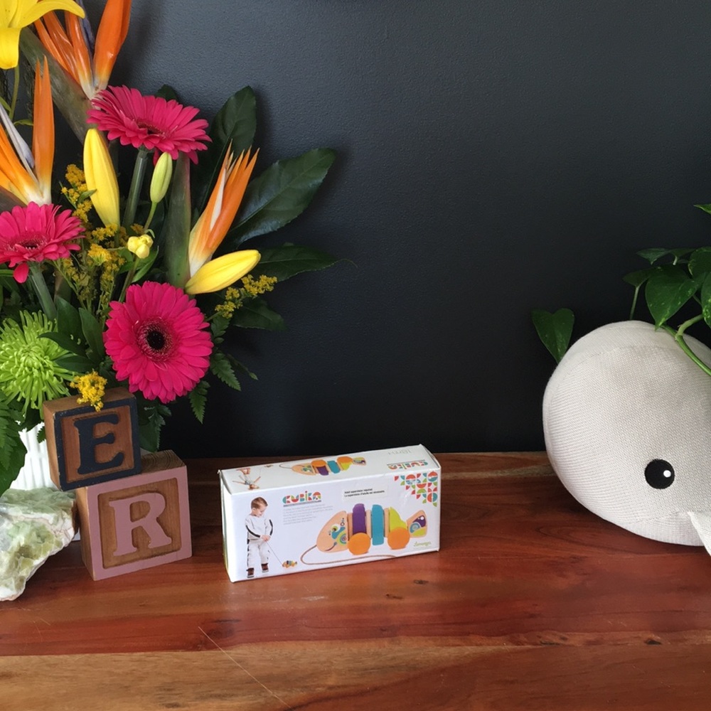 Cubika Wooden Pull Toy